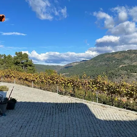 Quinta Da Penada - Vineyard & Winery - Main House Apartment *