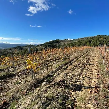 公寓 Quinta Da Penada - Vineyard & Winery - Main House 查韦斯