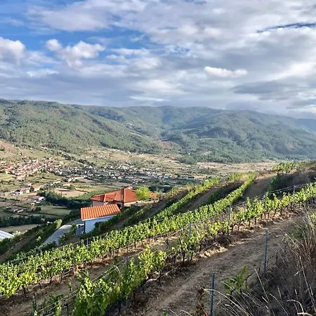 Quinta Da Penada - Vineyard & Winery - Main House Apartment *