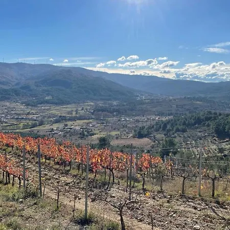 公寓 Quinta Da Penada - Vineyard & Winery - Main House